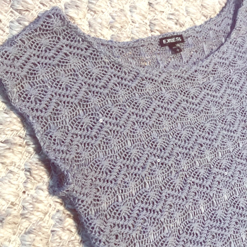Express knit gray crop top